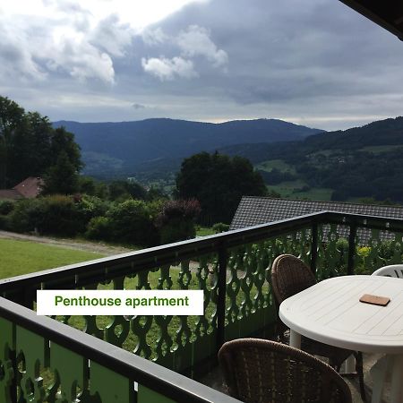 Le Green Chalet Villard-sur-Boege Zewnętrze zdjęcie