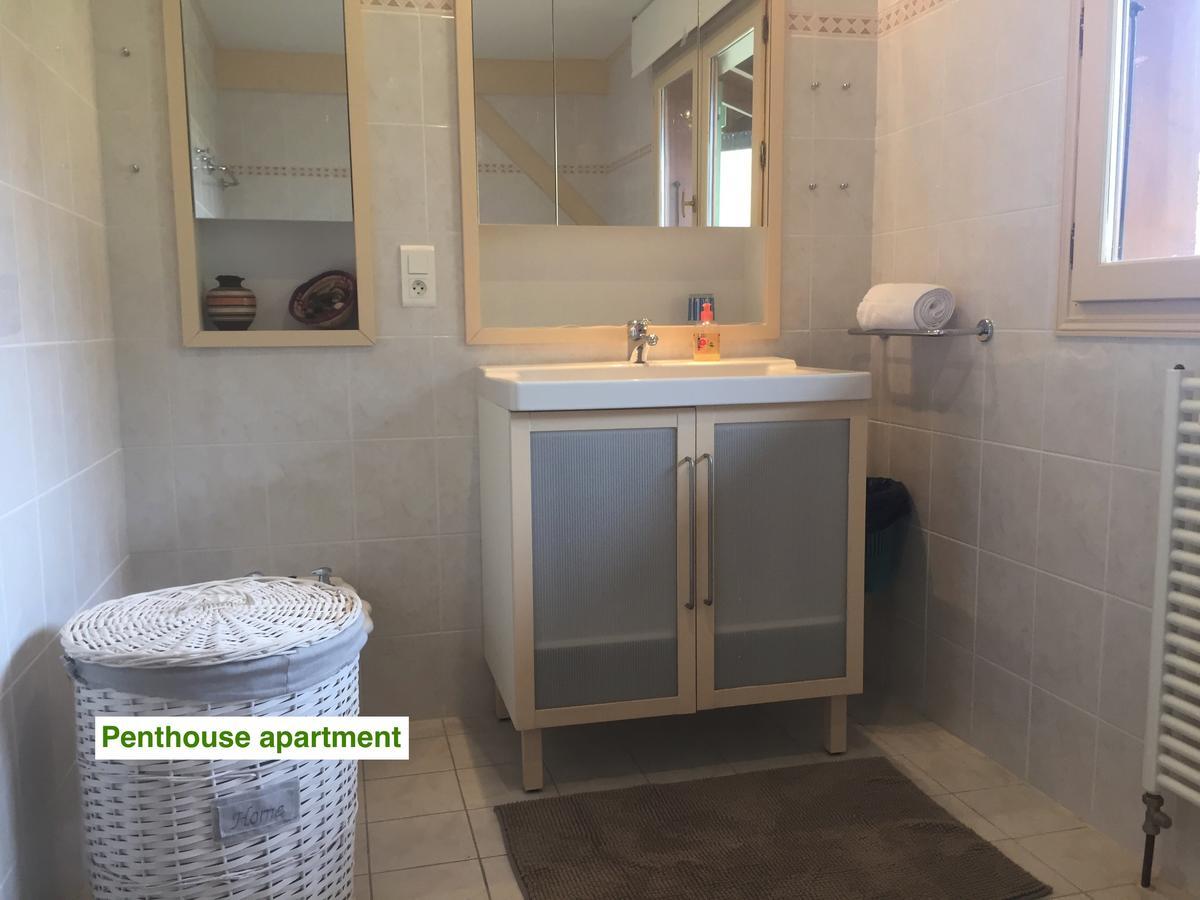 Le Green Chalet Villard-sur-Boege Zewnętrze zdjęcie
