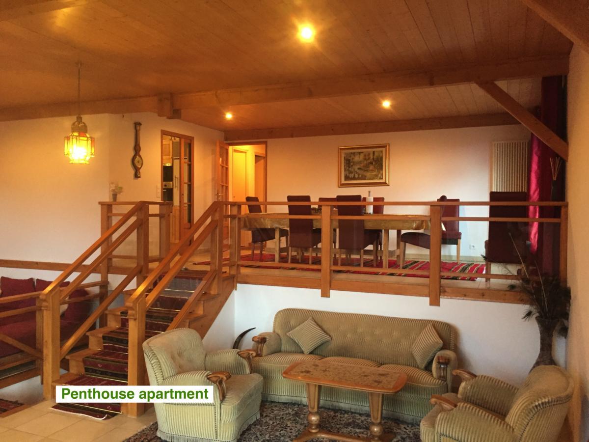 Le Green Chalet Villard-sur-Boege Zewnętrze zdjęcie