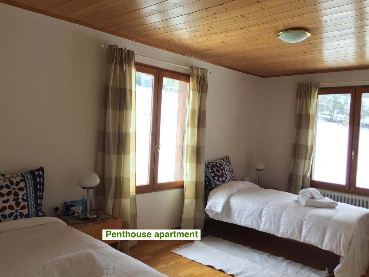 Le Green Chalet Villard-sur-Boege Zewnętrze zdjęcie