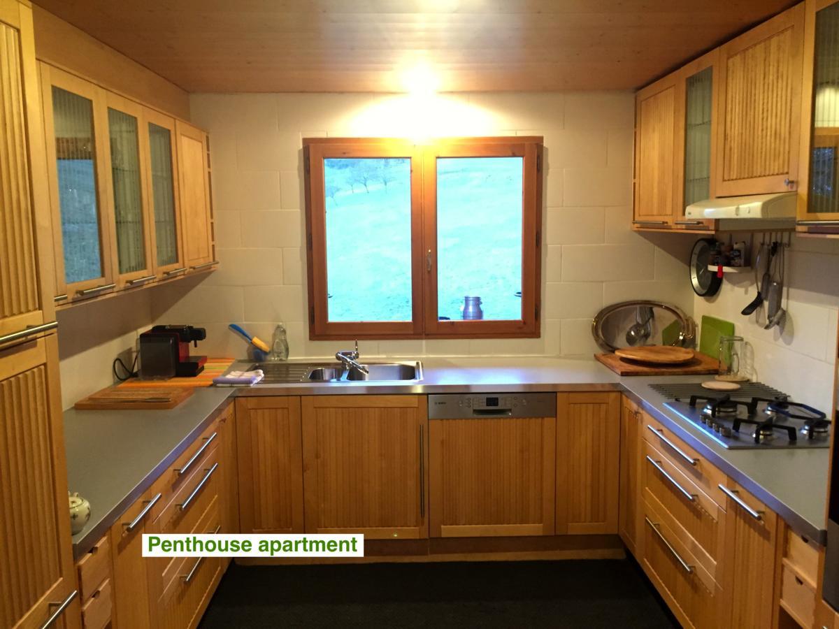 Le Green Chalet Villard-sur-Boege Zewnętrze zdjęcie