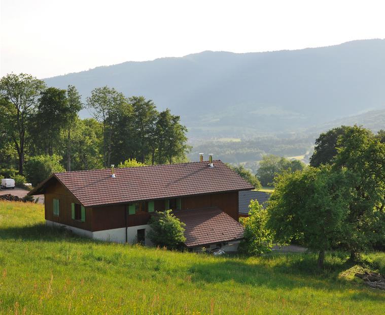 Le Green Chalet Villard-sur-Boege Zewnętrze zdjęcie