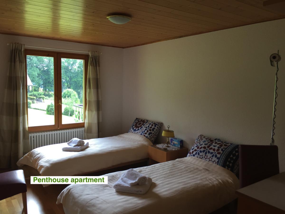 Le Green Chalet Villard-sur-Boege Zewnętrze zdjęcie