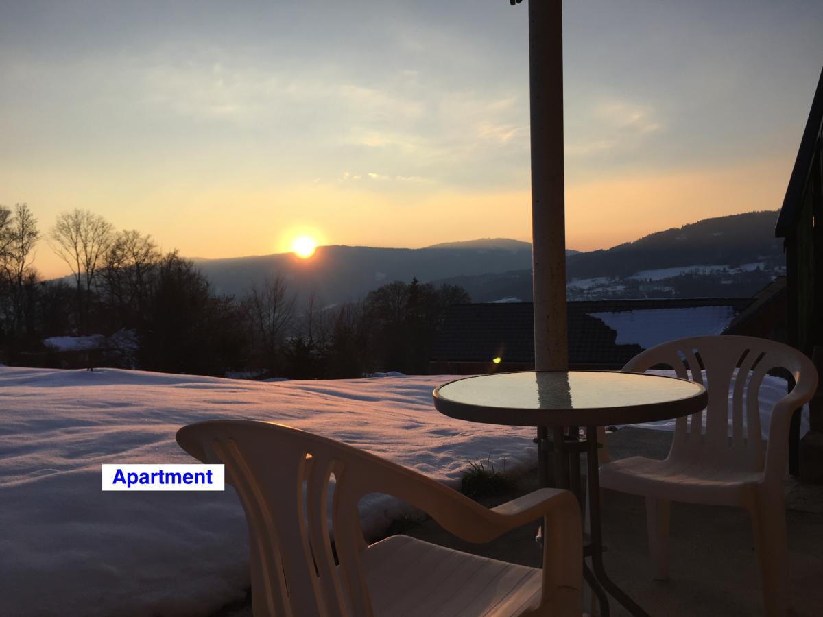 Le Green Chalet Villard-sur-Boege Zewnętrze zdjęcie