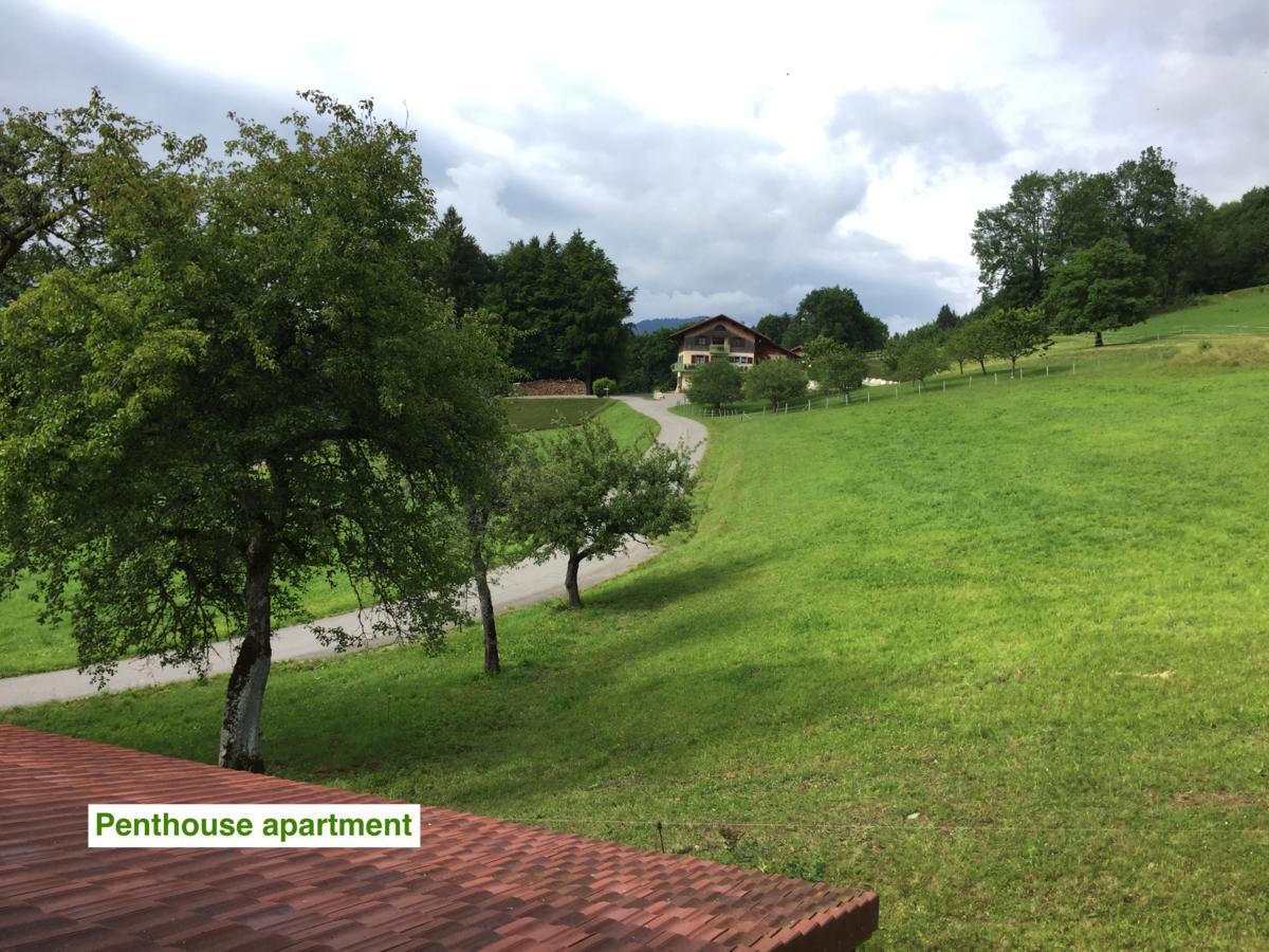 Le Green Chalet Villard-sur-Boege Zewnętrze zdjęcie