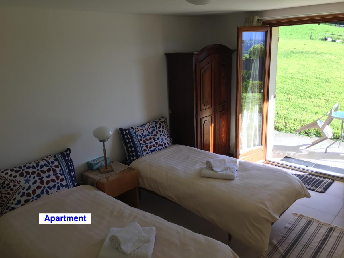 Le Green Chalet Villard-sur-Boege Zewnętrze zdjęcie