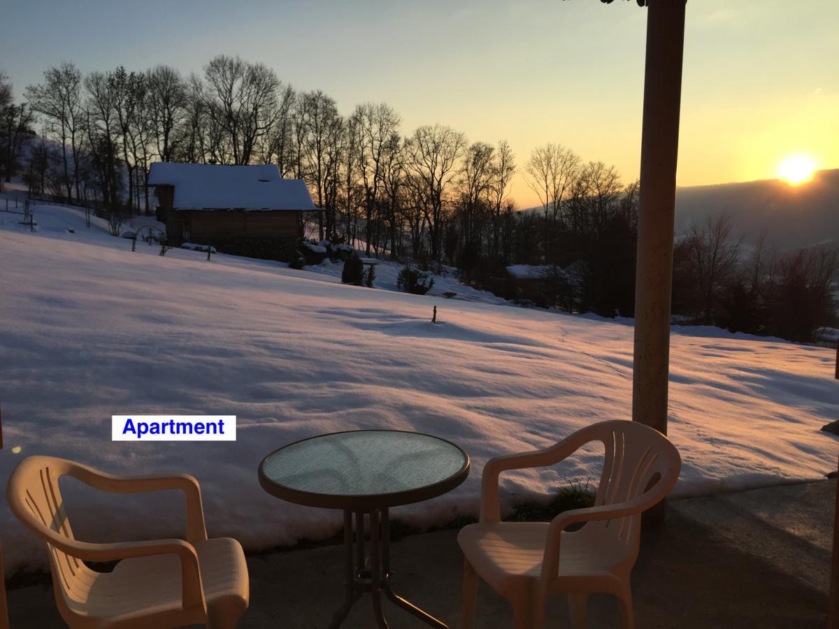 Le Green Chalet Villard-sur-Boege Zewnętrze zdjęcie